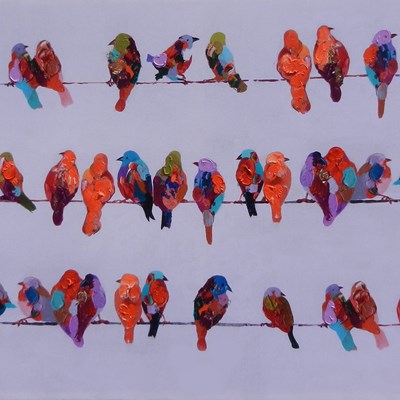 ציפורים בצבע